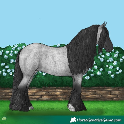 Horse Color:Blue Roan 