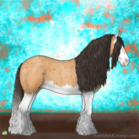 Horse Color:Buckskin Roan Splash