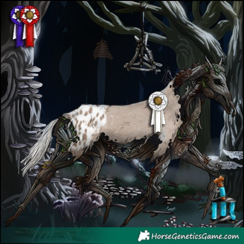 Horse Color:Silver Grullo Tobiano Appaloosa 