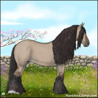 Horse Color:Bay Roan Dun