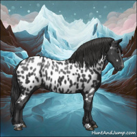 Horse Color:Black Near Leopard 