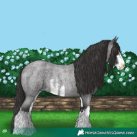 Horse Color:White Spotted Smoky Blue Roan 