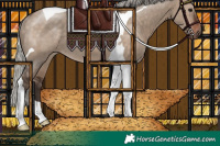 Horse Color:Silver Brown Dun Tobiano Rabicano