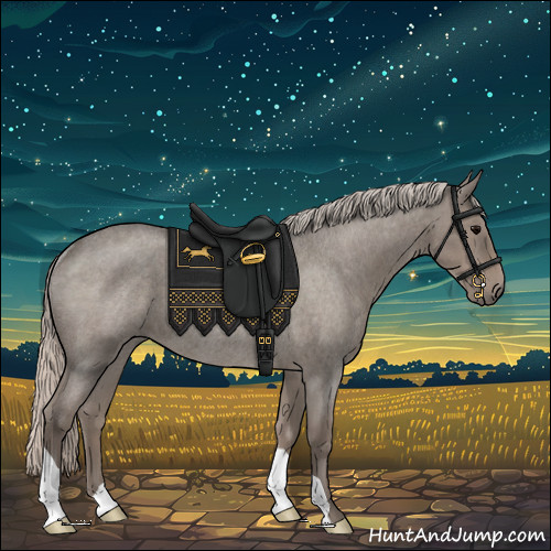 Horse Color:Silver Grullo Roan Rabicano 