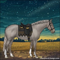 Horse Color:Silver Grullo Roan Rabicano