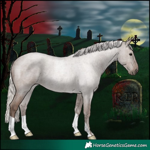 Horse Color:Silver Blue Roan 