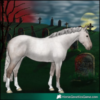 Horse Color:Silver Blue Roan 