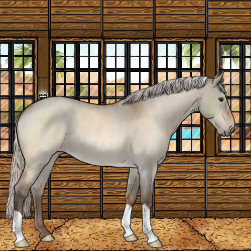 Horse Color:Silver Brown Roan Dun