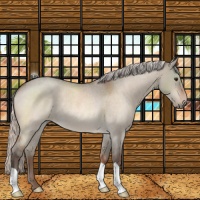 Horse Color:Silver Brown Roan Dun 