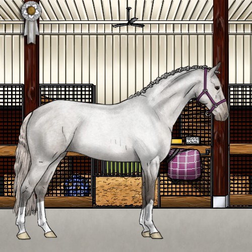 Horse Color:Silver Grullo Roan 