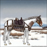 Horse Color:Silver Brown Roan Tobiano Rabicano