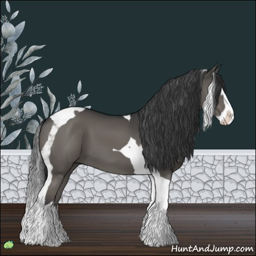 Horse Color:Grullo Splash Tobiano 