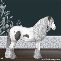 Horse Color:Grullo Splash Tobiano 