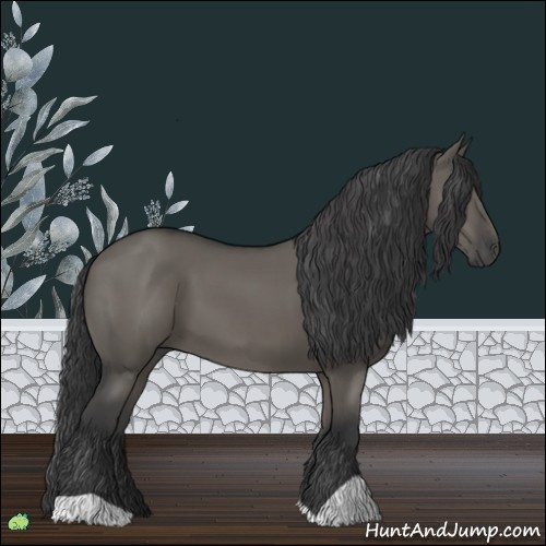 Horse Color:Grullo