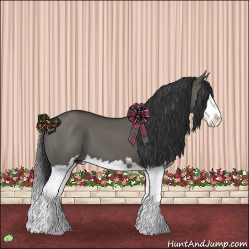 Horse Color:Grullo Sabino Splash