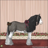 Horse Color:Grullo Sabino Splash