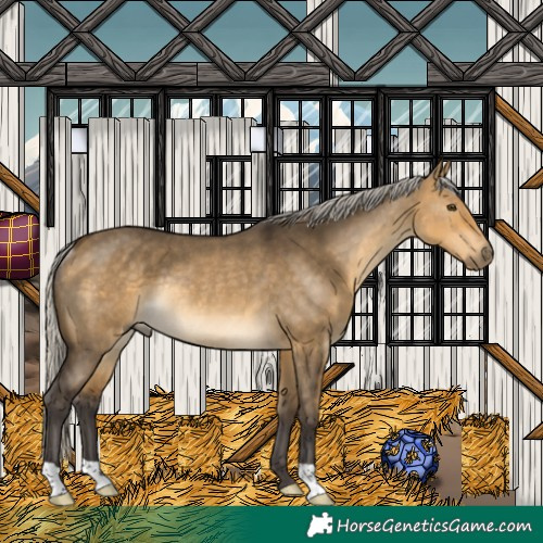 Horse Color:Silver Buckskin Dun Rabicano 