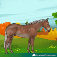Horse Color:Silver Black 
