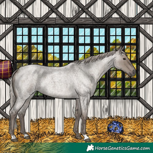 Horse Color:Silver Grullo Roan 