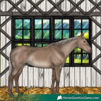 Horse Color:Silver Grullo 