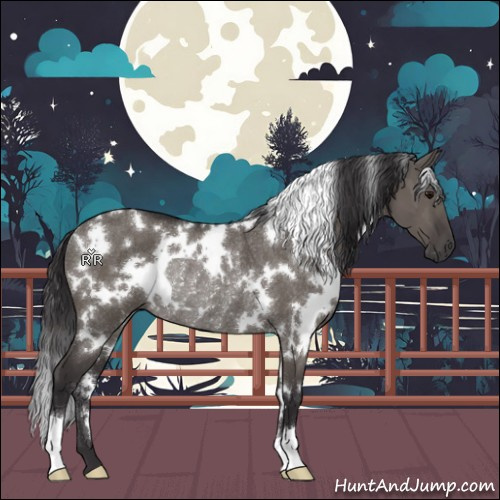 Horse Color:White Spotted Smoky Grullo Rabicano 