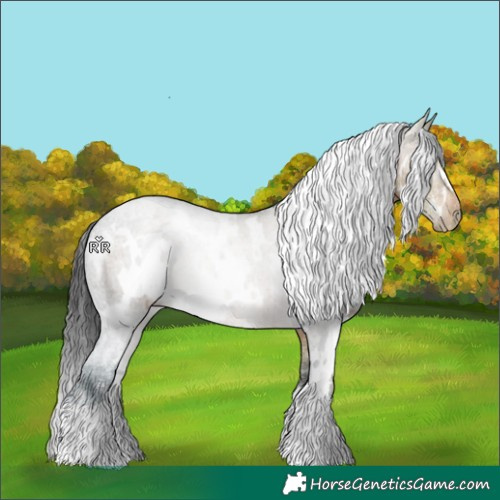 Horse Color:White Spotted Brown Ice Rabicano 