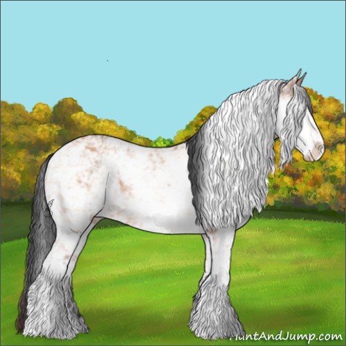 Horse Color:Bay Ice Dun Sabino Rabicano 