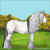 Horse Color:Bay Ice Dun Sabino Rabicano 