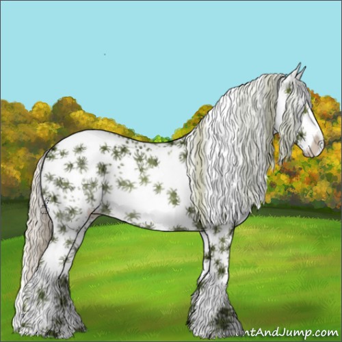 Horse Color:Watercolor White Spotted Silver Black Ice