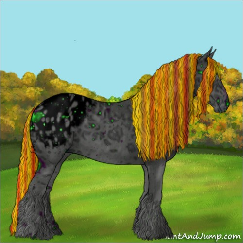 Horse Color:ERROR: UNKNOWN ANOMALY