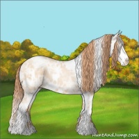 Horse Color:White Spotted Classic Champagne Ice Pearl Sabino 