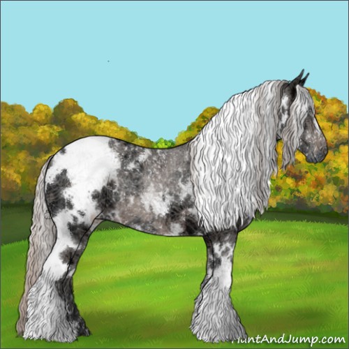 Horse Color:White Spotted Silver Black Ice 