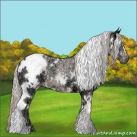 Horse Color:White Spotted Silver Black Ice 