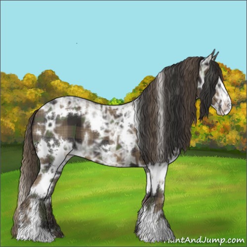 Horse Color:Plaid  White Spotted Smoky Black Ice Sabino 