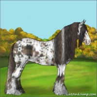 Horse Color:Plaid  White Spotted Smoky Black Ice Sabino 