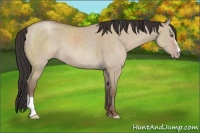 Horse Color:Classic Champagne Dun Sabino Rabicano 