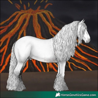 Horse Color:Gray Brown Tobiano  and Gray Silver Brown Tobiano 