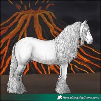 Horse Color:Gray Brown Tobiano  and Gray Silver Brown Tobiano 