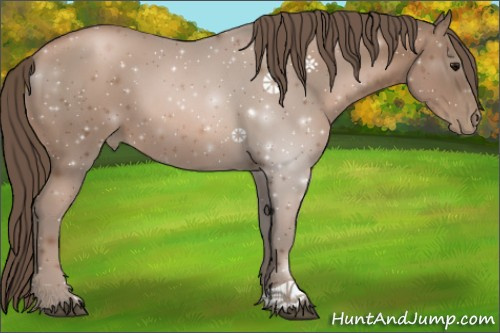 Horse Color:Black Pearl 