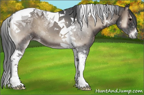 Horse Color:Blue Onyx Tobiano 