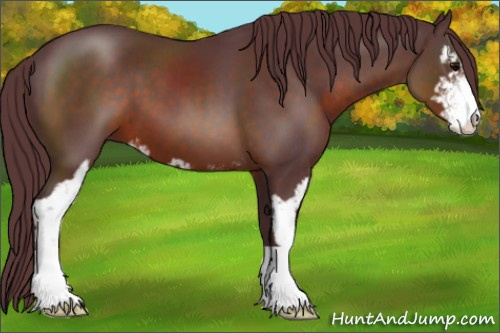 Horse Color:Chocolate Brown Sabino 