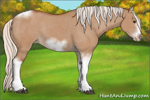 Horse Color:Silver Bay Dun Sabino Tobiano Frame Varnish Rabicano 