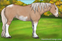 Horse Color:Silver Bay Dun Sabino Tobiano Frame Varnish Rabicano 