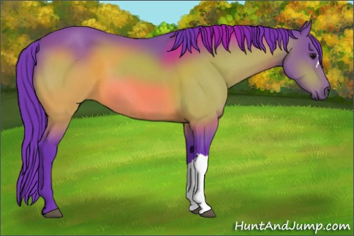 Horse Color:Watercolor Bay 