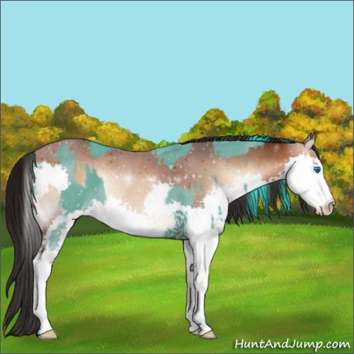 Horse Color:Watercolor Grullo Splash and Bay Onyx Splash