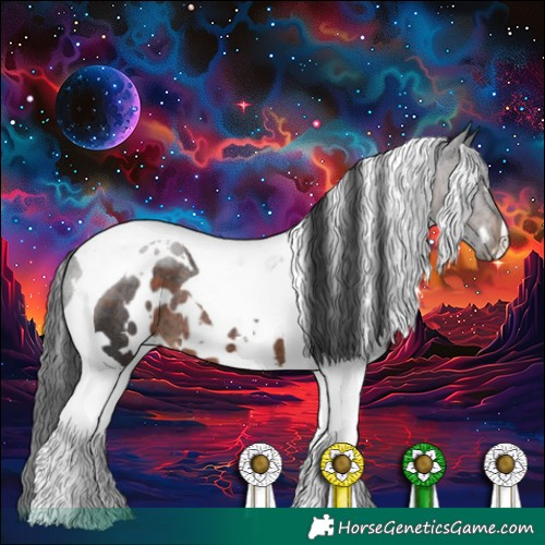 Horse Color:White Spotted Brown Tobiano Rabicano 
