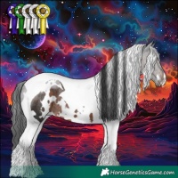 Horse Color:White Spotted Brown Tobiano Rabicano 