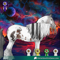 Horse Color:White Spotted Brown Tobiano Rabicano 