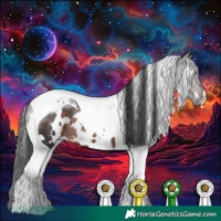 Horse Color:White Spotted Brown Tobiano Rabicano 