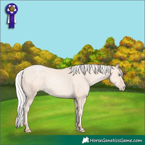 Horse Color:Silver Amber Cream Champagne Pearl 